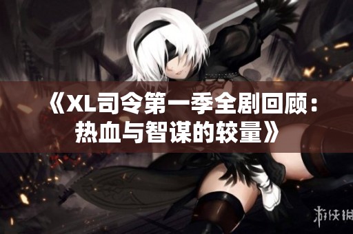 《XL司令第一季全剧回顾：热血与智谋的较量》