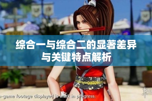 综合一与综合二的显著差异与关键特点解析