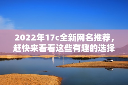 2022年17c全新网名推荐，赶快来看看这些有趣的选择吧
