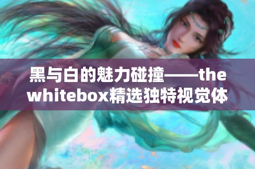 黑与白的魅力碰撞——thewhitebox精选独特视觉体验