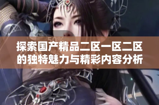 探索国产精品二区一区二区的独特魅力与精彩内容分析