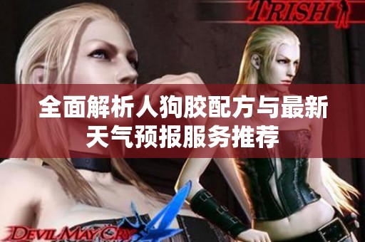 全面解析人狗胶配方与最新天气预报服务推荐