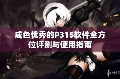 成色优秀的P31S软件全方位评测与使用指南