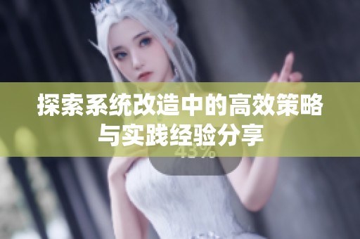 探索系统改造中的高效策略与实践经验分享
