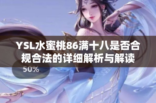 YSL水蜜桃86满十八是否合规合法的详细解析与解读