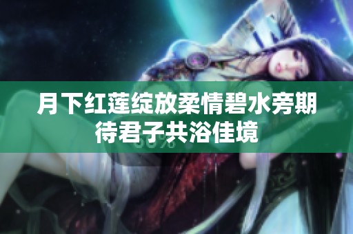 月下红莲绽放柔情碧水旁期待君子共浴佳境