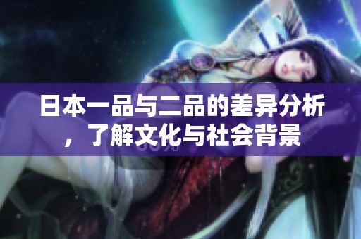 日本一品与二品的差异分析，了解文化与社会背景