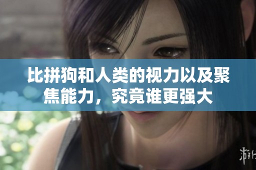 比拼狗和人类的视力以及聚焦能力，究竟谁更强大