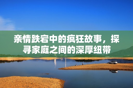 亲情跌宕中的疯狂故事，探寻家庭之间的深厚纽带