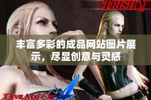 丰富多彩的成品网站图片展示，尽显创意与灵感
