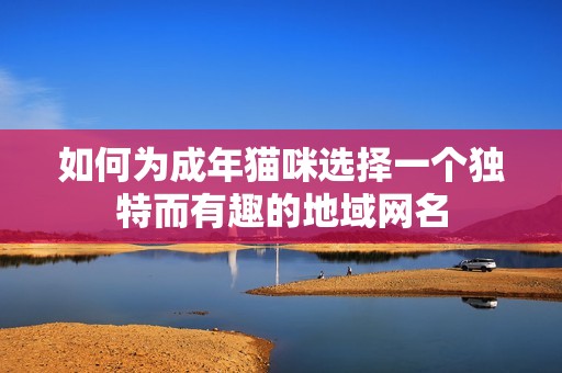 如何为成年猫咪选择一个独特而有趣的地域网名