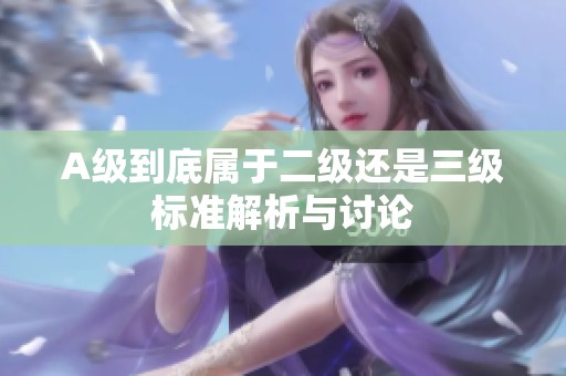 A级到底属于二级还是三级标准解析与讨论