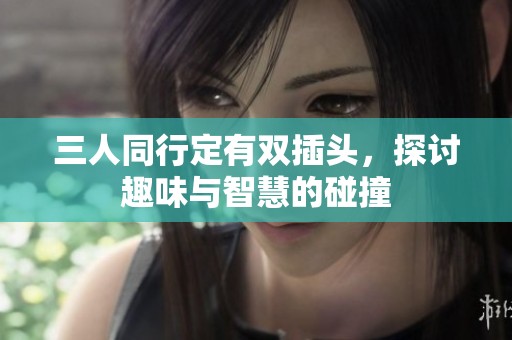 三人同行定有双插头，探讨趣味与智慧的碰撞