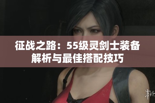 征战之路：55级灵剑士装备解析与最佳搭配技巧