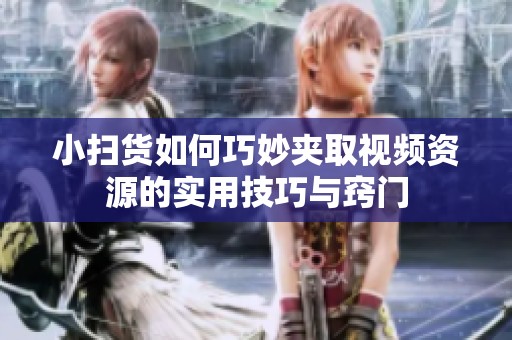 小扫货如何巧妙夹取视频资源的实用技巧与窍门