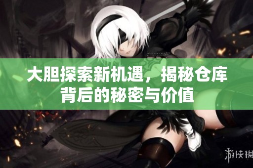 大胆探索新机遇，揭秘仓库背后的秘密与价值