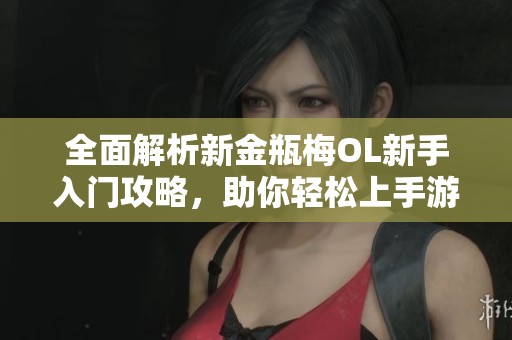 全面解析新金瓶梅OL新手入门攻略，助你轻松上手游戏