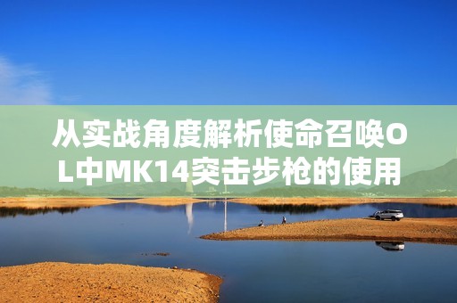 从实战角度解析使命召唤OL中MK14突击步枪的使用技巧与心得