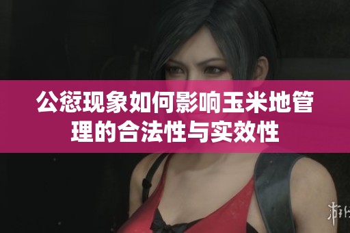 公愆现象如何影响玉米地管理的合法性与实效性