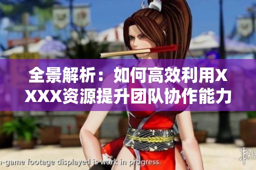 全景解析：如何高效利用XXXX资源提升团队协作能力