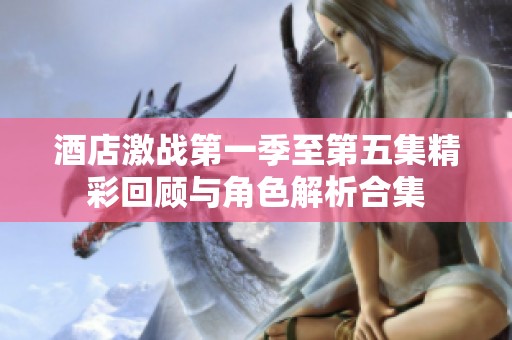 酒店激战第一季至第五集精彩回顾与角色解析合集