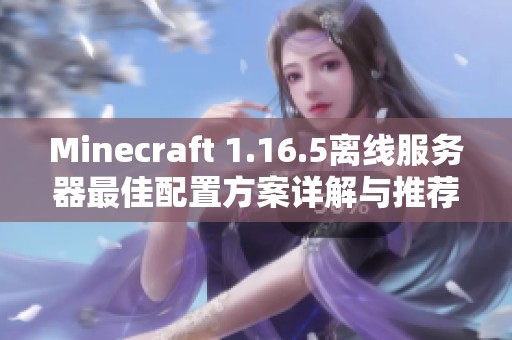Minecraft 1.16.5离线服务器最佳配置方案详解与推荐
