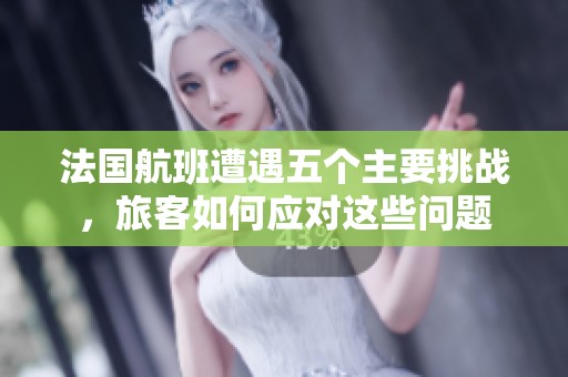 法国航班遭遇五个主要挑战，旅客如何应对这些问题