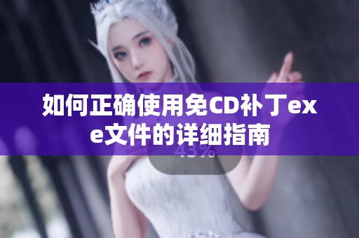 如何正确使用免CD补丁exe文件的详细指南