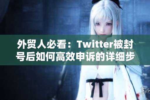 外贸人必看：Twitter被封号后如何高效申诉的详细步骤分享