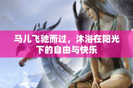 马儿飞驰而过，沐浴在阳光下的自由与快乐