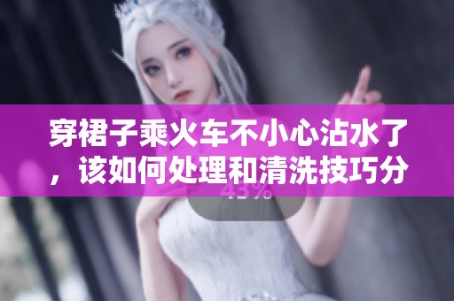穿裙子乘火车不小心沾水了，该如何处理和清洗技巧分享