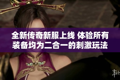 全新传奇新服上线 体验所有装备均为二合一的刺激玩法与挑战