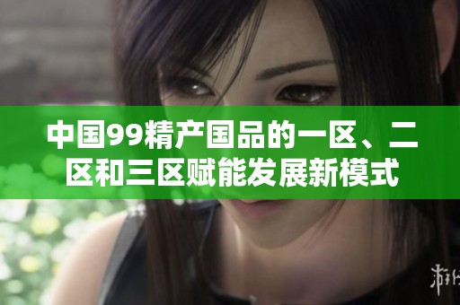 中国99精产国品的一区、二区和三区赋能发展新模式