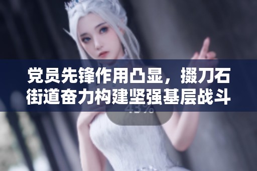 党员先锋作用凸显，掇刀石街道奋力构建坚强基层战斗堡垒活动总结