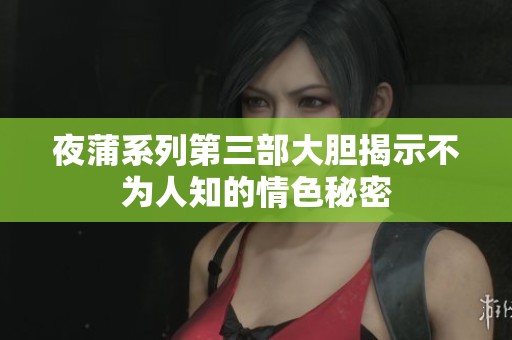 夜蒲系列第三部大胆揭示不为人知的情色秘密