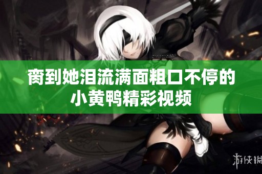 脔到她泪流满面粗口不停的小黄鸭精彩视频