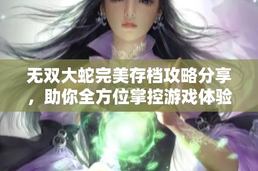 无双大蛇完美存档攻略分享，助你全方位掌控游戏体验与挑战！