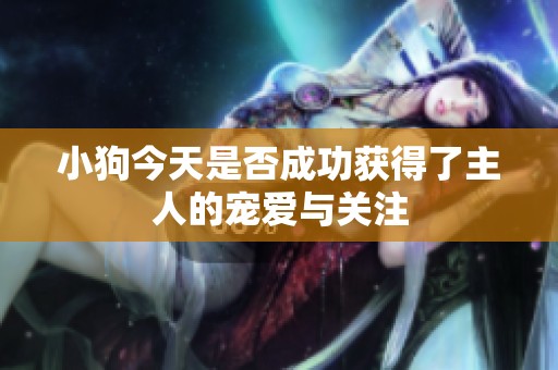 小狗今天是否成功获得了主人的宠爱与关注