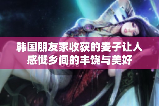 韩国朋友家收获的麦子让人感慨乡间的丰饶与美好