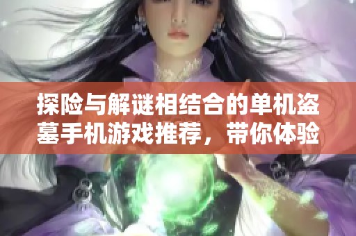 探险与解谜相结合的单机盗墓手机游戏推荐，带你体验刺激的考古之旅