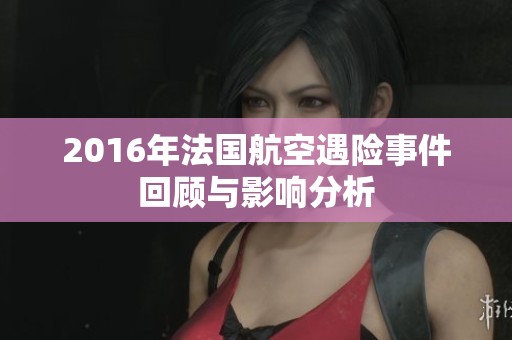 2016年法国航空遇险事件回顾与影响分析