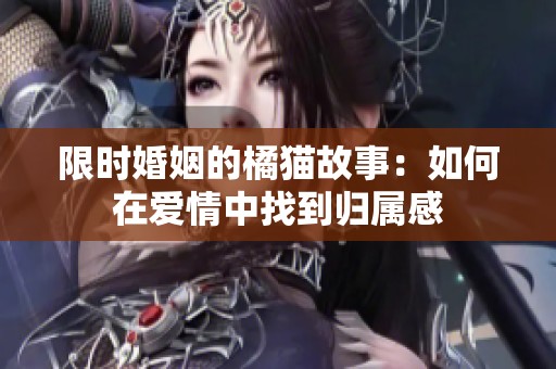 限时婚姻的橘猫故事：如何在爱情中找到归属感