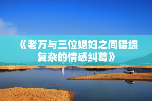 《老万与三位媳妇之间错综复杂的情感纠葛》