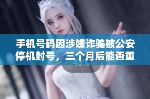手机号码因涉嫌诈骗被公安停机封号，三个月后能否重新启用引发关注深入探讨