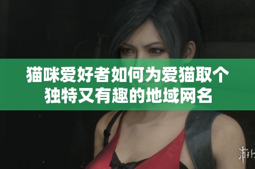 猫咪爱好者如何为爱猫取个独特又有趣的地域网名