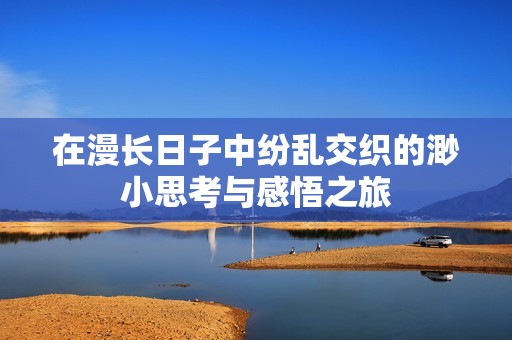 在漫长日子中纷乱交织的渺小思考与感悟之旅