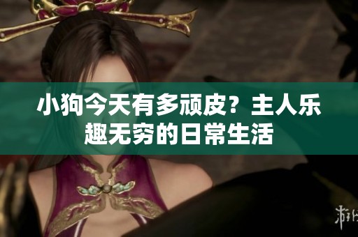 小狗今天有多顽皮？主人乐趣无穷的日常生活