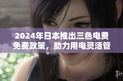 2024年日本推出三色电费免费政策，助力用电灵活管理