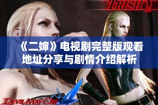 《二婶》电视剧完整版观看地址分享与剧情介绍解析