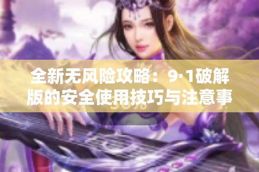全新无风险攻略：9·1破解版的安全使用技巧与注意事项